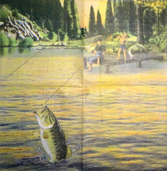 086 Fish - 3-ply - Design Inc. - CS
